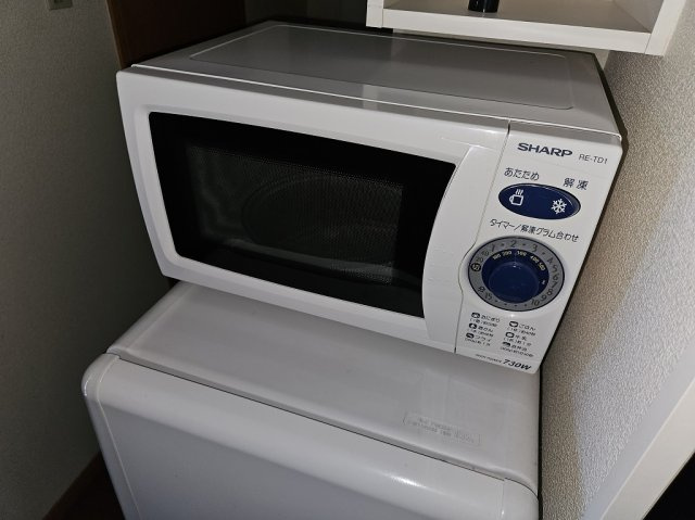【その他】 | レオパレス南の風　Ⅱ | 冷蔵庫・電子レンジ