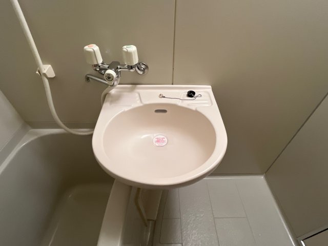 ラフィーヌ上野田の洗面所