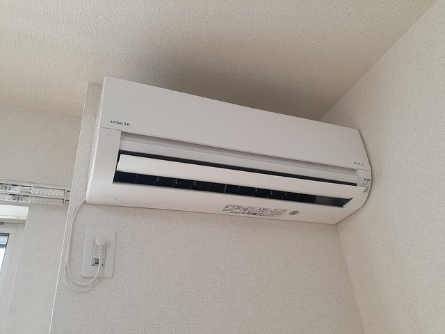 アムール　テレーノのその他