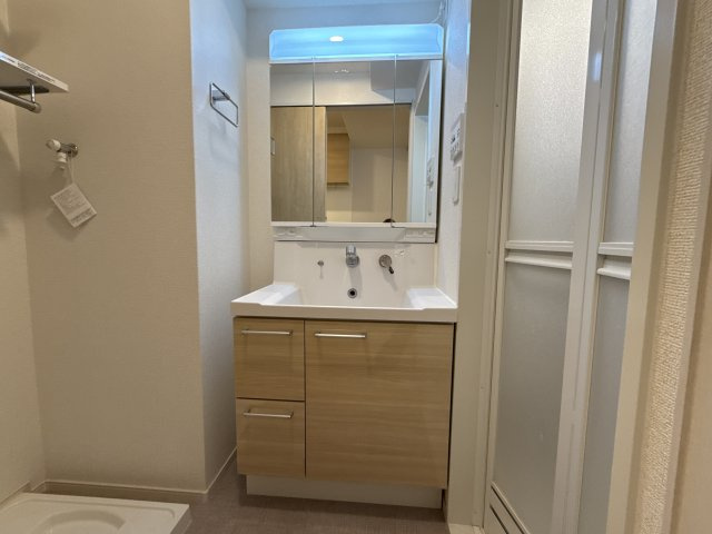 メゾンブリエの洗面所