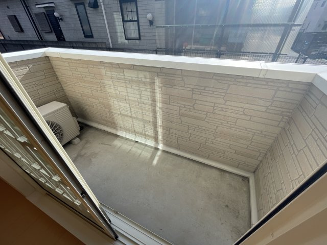 ロサ・パラーシオのその他