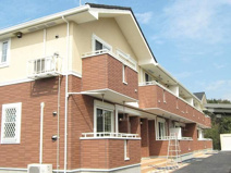 ハウオリの画像