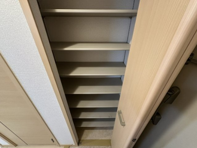 カンパニュラの収納