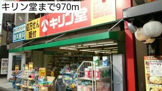 サンアームヒロの周辺|キリン堂まで970m