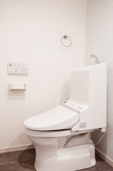 カムリンⅡ(カムリンツー)のトイレ