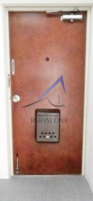 音金六郷マンションの玄関|玄関です。