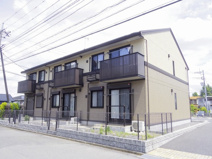 フローラ・ウィルAの画像