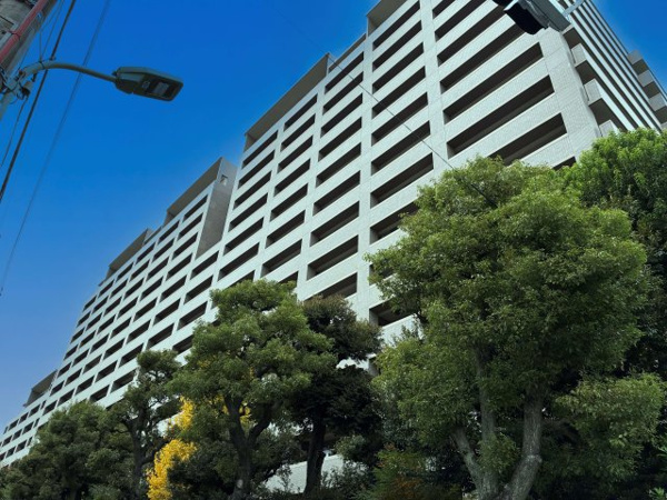 Hills KUGAHARA ichibann-kanの画像