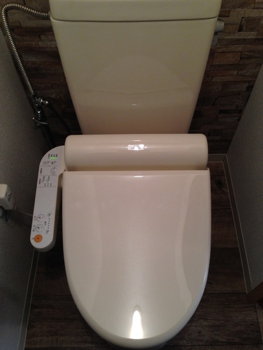 レヂデンスⅡのトイレ|落ち着いた色調のトイレです