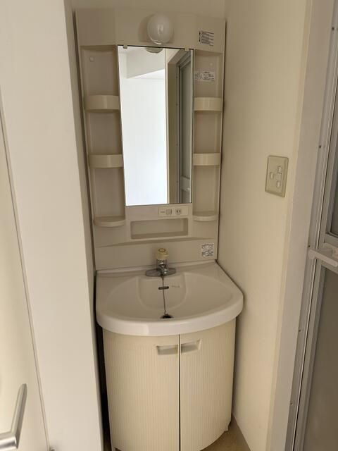 １００　ロイヤルガーデンⅡの洗面所