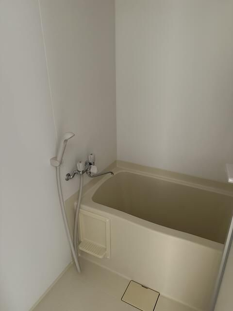 １００　ロイヤルガーデンⅡの浴室