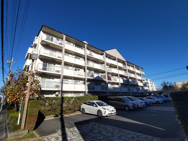 アミティ三郷早稲田6‐1‐2号棟の画像