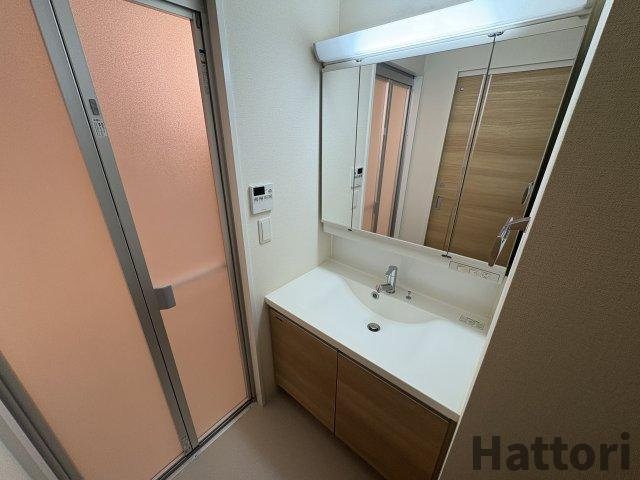 ラルーチェ北梅田の洗面所