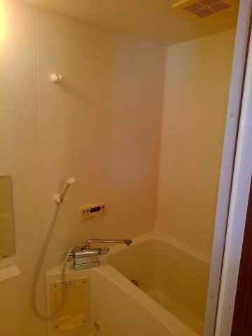 ヴィラ　カリョウビンガΒの浴室