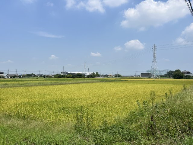 春日部市永沼土地の画像