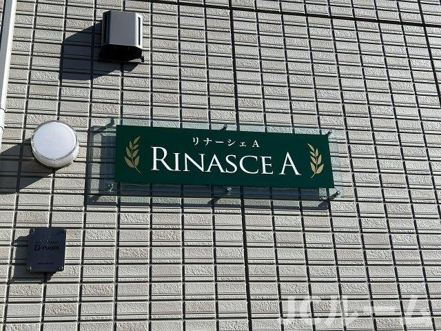 リナーシェ Aのその他