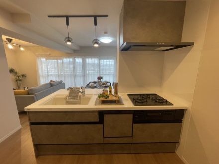 パデシオン桃山南の画像