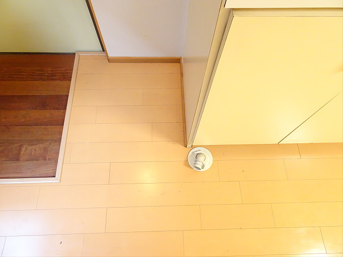 鳥谷部方の玄関|玄関です