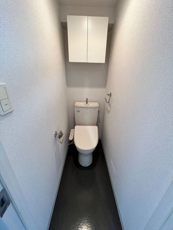 LEXE AZEST 赤羽のトイレ