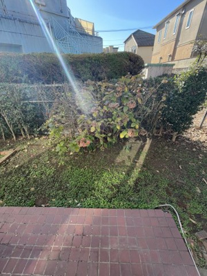 【庭】 | 浜田山タウンホームⅡ