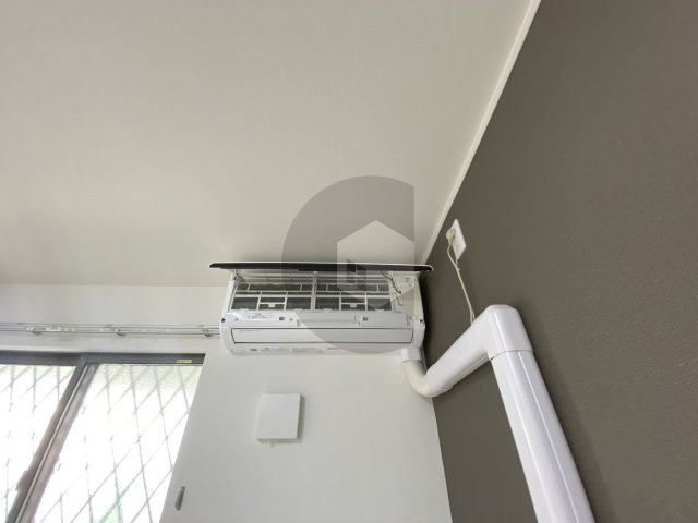 カシータ・ソルのその他