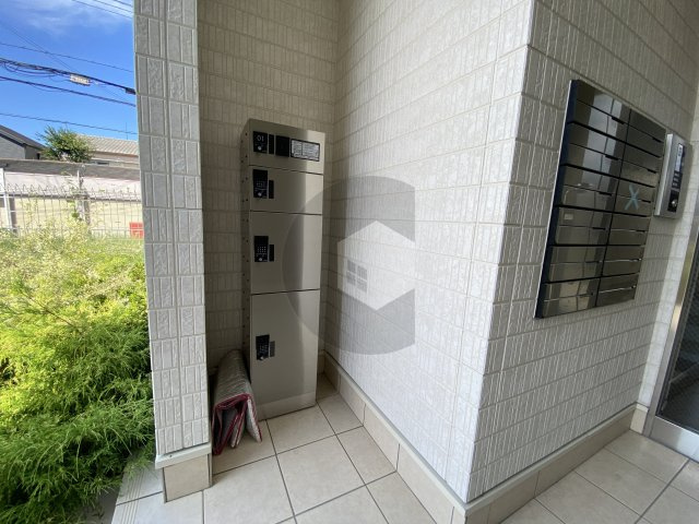 カシータ・ソルのその他