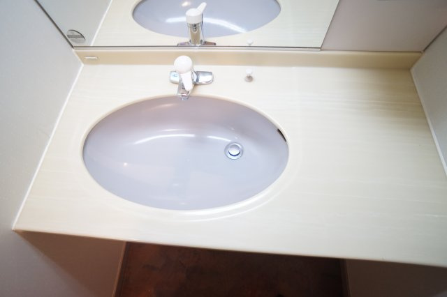 クイーンズ・パレス1の洗面所