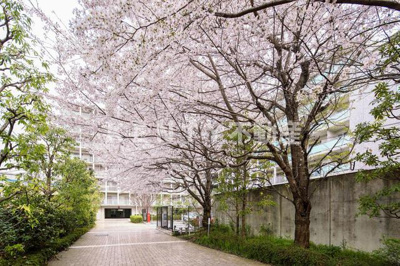 【その他】 | アビティ目黒 | 2018年3月撮影