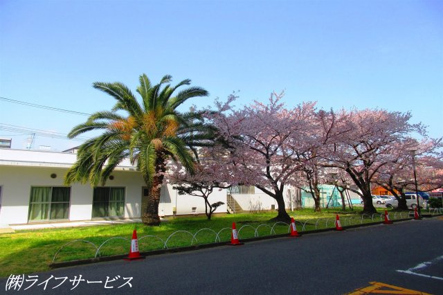 【その他共用部分】 | 新北野コーポA棟 | 敷地内