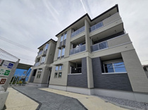 グリシーヌの画像