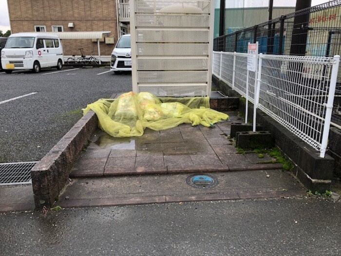 ラトンラヴ―ル　Ⅱ番館のエントランス|便利な敷地内ゴミ置き場もあります♪