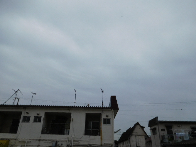 Ｓｕｎｌｉｔ　ＡＩの展望