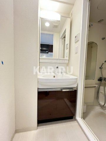 スワンズシティ大阪城ノースの洗面所