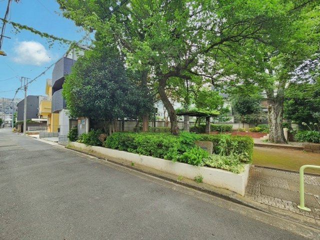 杉並区天沼3丁目 限定1棟の前面道路含む現地写真|東側には公園があり、緑豊かで四季折々の季節を感じる事ができます
お子様の遊び場としても近くに公園があると良いですね♪
