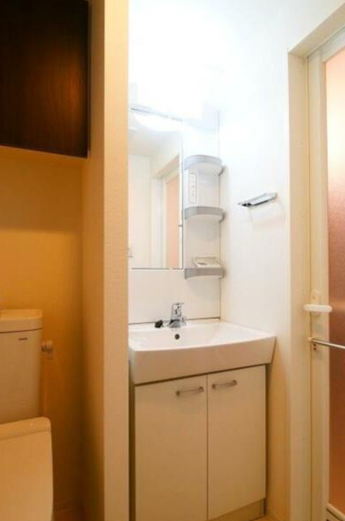 ラフィスタ調布多摩川の洗面所