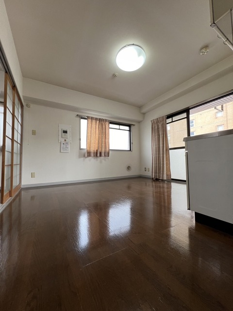 グリーン金剛マンションの居間・リビング