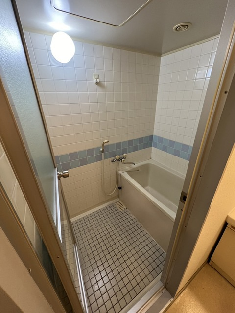 グリーン金剛マンションの浴室