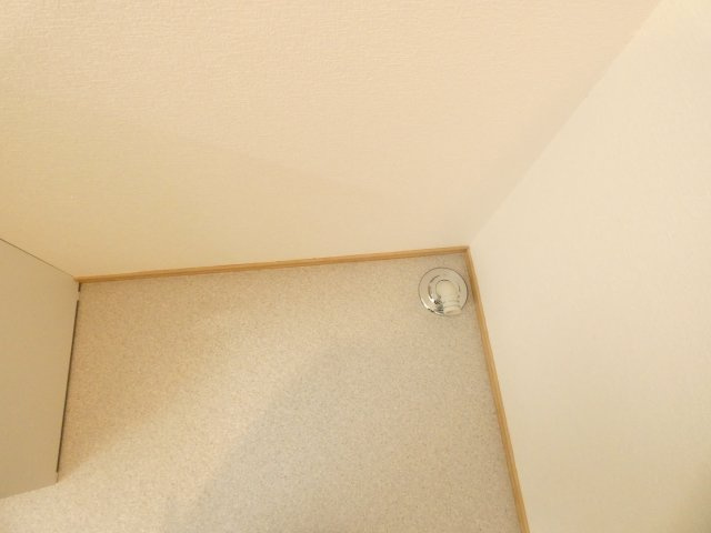 ROTHTLE（ロストル）のその他