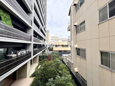 【展望】 | パインヴィレッジ