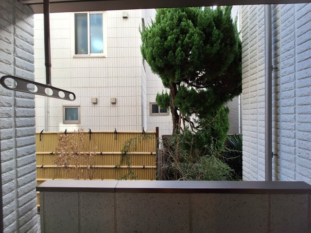 さくらハウスの展望