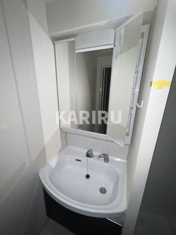 スワンズシティ大阪城NORTHの洗面所