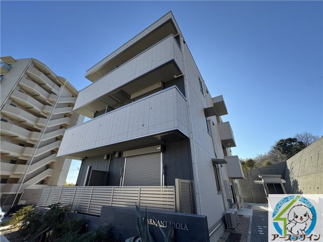 シャルマン　ヴィオラ