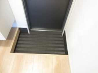 フェリーチェ東高円寺Dの玄関