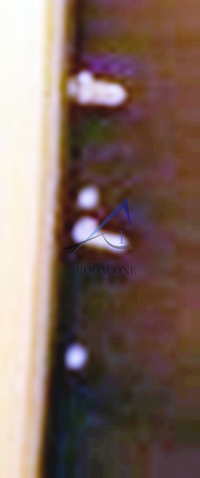 ビューノ　東池袋