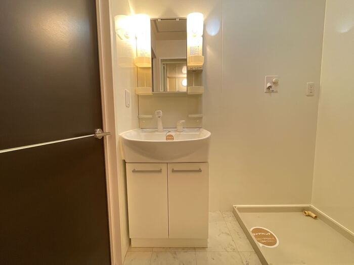 ソフィア南本町の洗面所