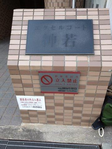 エクセルコート神若