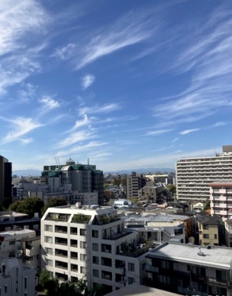 パークハウス渋谷山手の展望