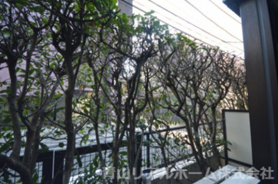 【展望】 | アエリア南青山