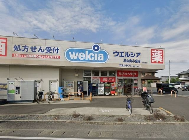 プラムヒルズⅡの周辺|ウェルシア向小金店まで640m