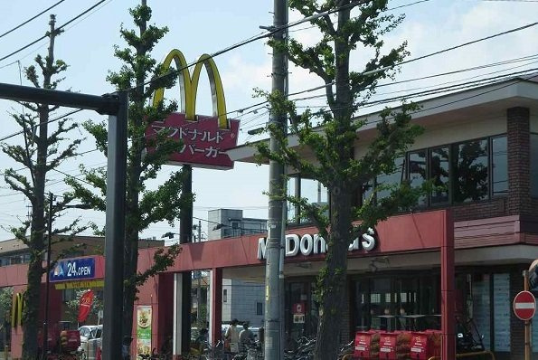 メゾンドグリシーヌⅢの周辺|マクドナルドまで750m